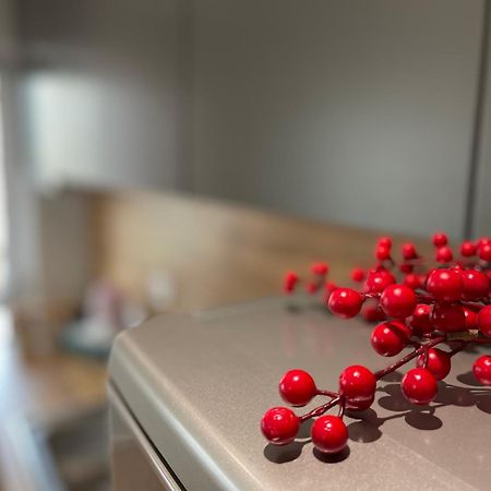 Downtown View Modern Apartment ティラナ エクステリア 写真